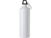Garrafa de alumnio (750 ml)