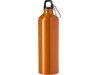 Garrafa de alumnio (750 ml)