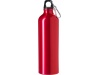 Garrafa de alumnio (750 ml)