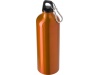 Garrafa de alumnio (750 ml)