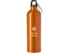 Garrafa de alumnio (750 ml)
