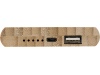 Power bank de bambu 6000 mAh 