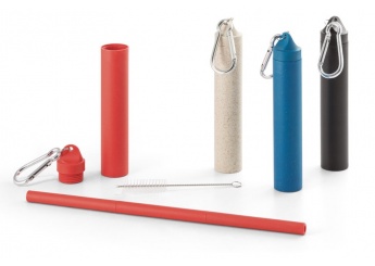 Kit de palhinha reutilizvel LYNNE