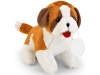 Peluche