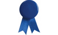 Pins Publicitrios