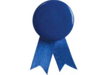 Pins Publicitrios