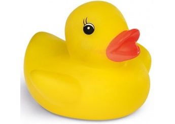 Pato de borracha