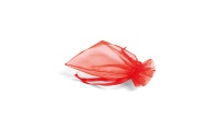 Bolsa em Organza