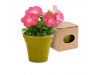 Vaso Biodegradvel + Sementes de Flores Petnia ADVERT