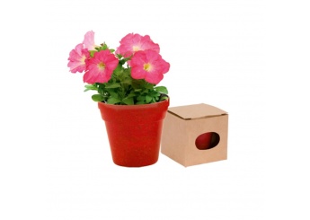 Vaso Biodegradvel + Sementes de Flores Petnia ADVERT
