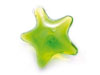 Gel em Forma de Estrela