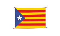 Bandeira festa