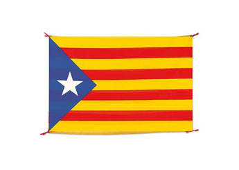 Bandeira festa