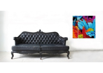 Foto Quadro