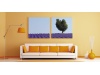 Quadros em canvas
