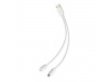 Carregador sistema C e duo REON