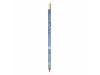 Lpis BIC Evolution Digital Ecolutions
