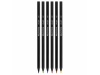 Conjunto para Colorir Cont by BIC