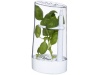 Conservador de ervas aromticas Versil