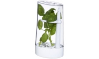 Conservador de ervas aromticas Versil