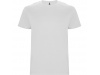 T-SHIRT STAFFORD Adulto