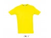 T-SHIRT DE GOLA REDONDA CORES PARA HOMEM IMPERIAL