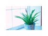 Conjunto de ferramentas de jardim 7 peas