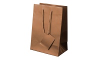 Bolsa presente Papel Plastificado