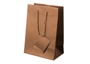 Bolsa presente Papel Plastificado