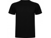 T-shirt Tcnica de Manga Curta Raglan Criana
