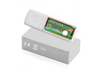 Pen Disk de MEMRIA USB HEDEL 8GB