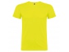 T-shirt Beagle Adulto-Cores