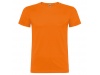 T-shirt Beagle Adulto-Cores