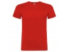 T-shirt Beagle Adulto-Cores