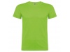 T-shirt Beagle Adulto-Cores