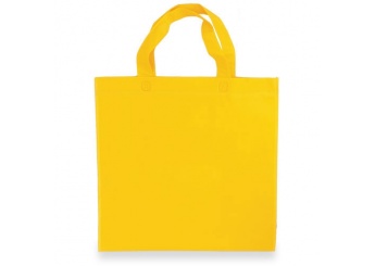 Bolsa Non Woven Ecomomica