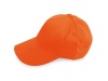 Bon Basebol Premium