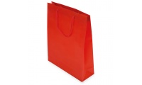 Bolsa presente PVC