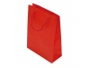 Bolsa presente PVC