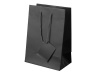 Bolsa presente Papel Plastificado