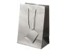 Bolsa presente Papel Plastificado