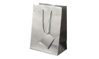 Bolsa presente Papel Plastificado