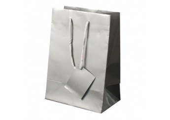 Bolsa presente Papel Plastificado