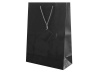 Bolsa presente Papel Plastificado