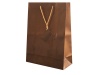Bolsa presente Papel Plastificado