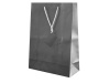 Bolsa presente Papel Plastificado