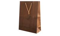 Bolsa presente Papel Plastificado