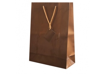 Bolsa presente Papel Plastificado