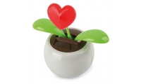 Vaso Eco Solar Corao