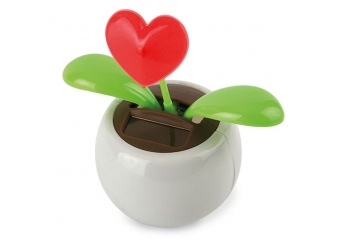Vaso Eco Solar Corao